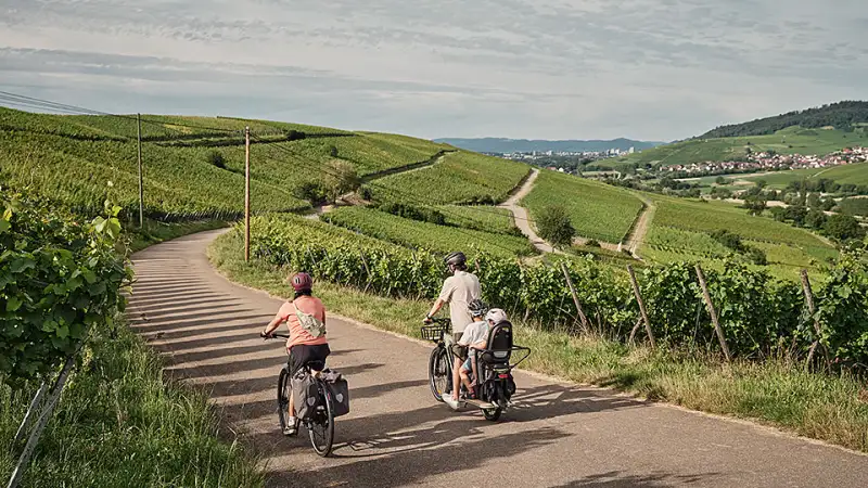 Familie radelt am Weinberg Schönberg