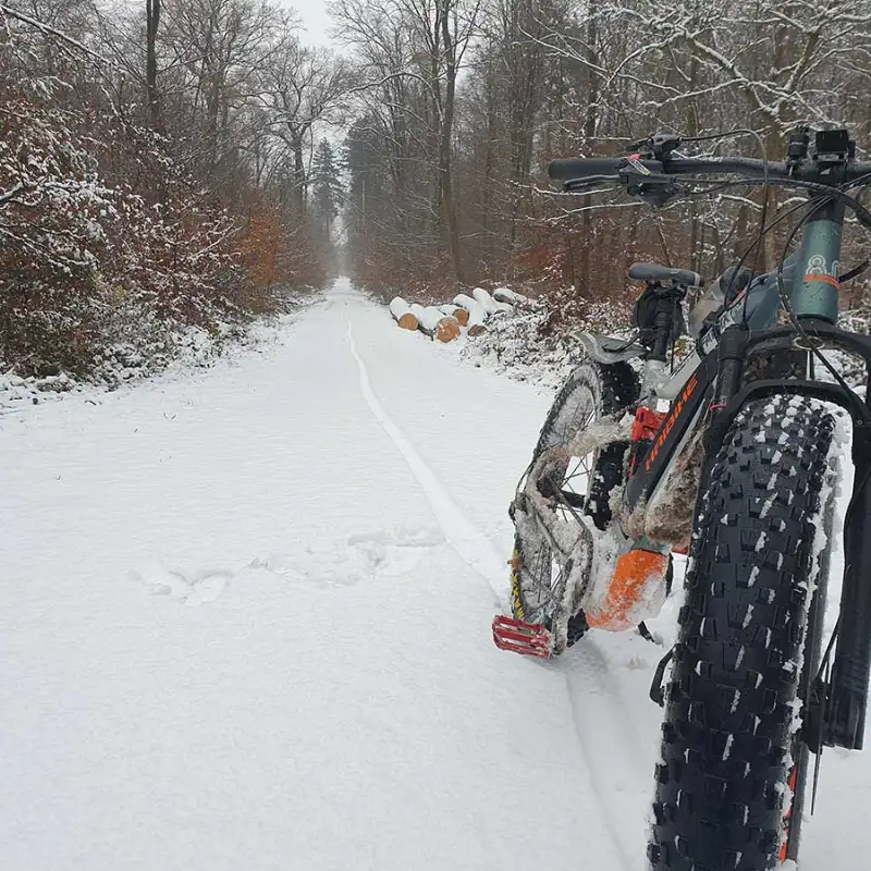 Ein Mountainbike auf Waldweg im Schnee, im Hintergrund Wald - JobRadmoment eines Jobradlers