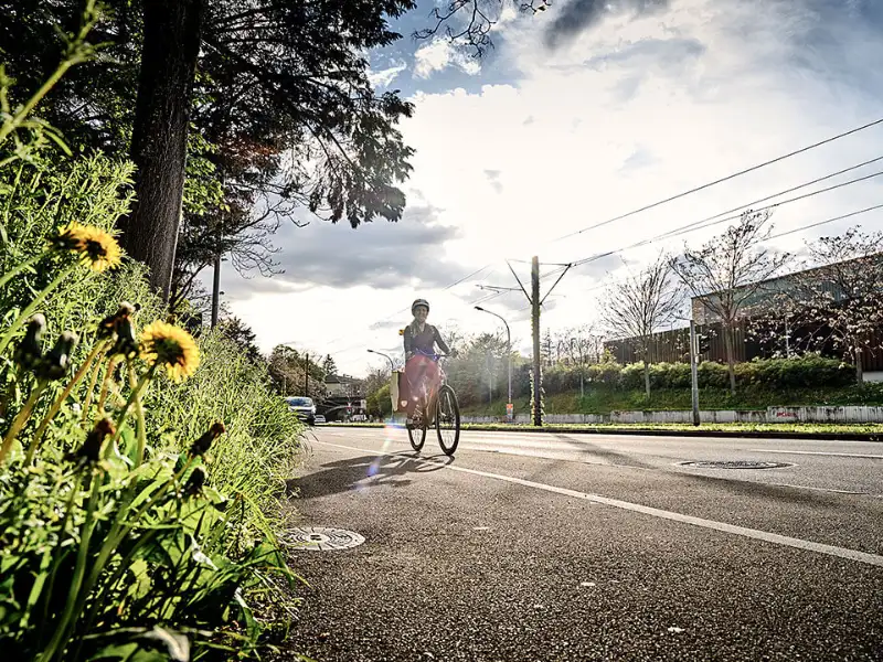 JobRadlerin auf Fahrradweg im Vordergrund Wiese, Baum und Löwenzahn