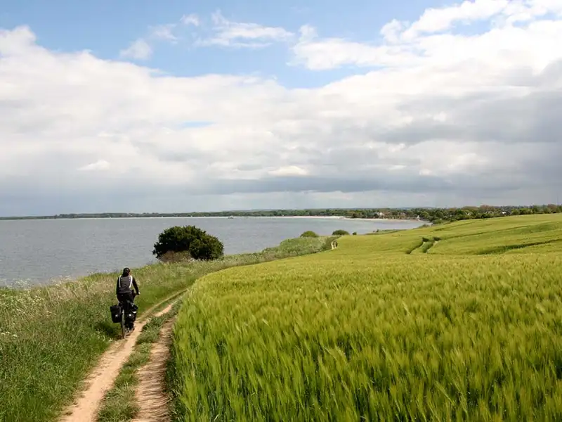 Bild vom Ostseeradweg