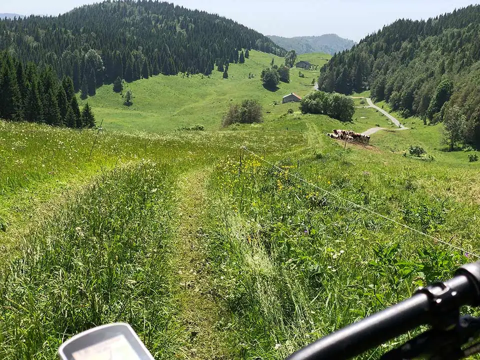 POV foto vom Fahrradlenker blick auf Fahrradweg durch hohes Gras